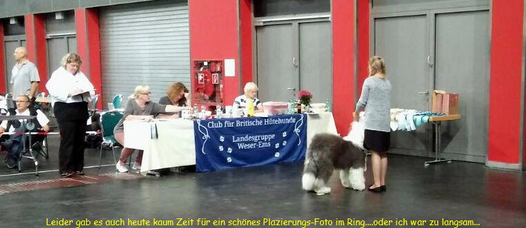 Leider gab es auch heute kaum Zeit fr ein schnes Plazierungs-Foto im Ring....oder ich war zu langsam...