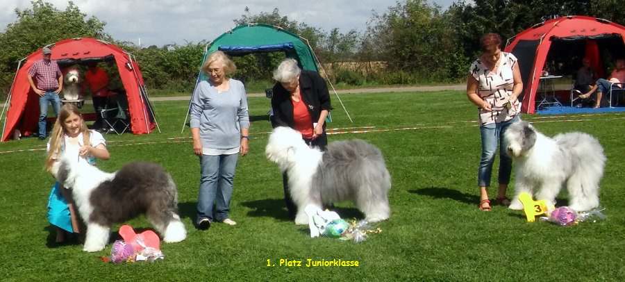 1. Platz Juniorklasse