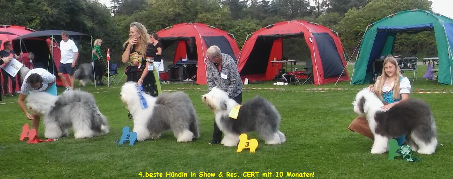 4.beste Hndin in Show & Res. CERT mit 10 Monaten!