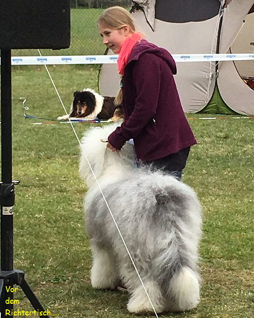 Vor
  dem
  Richtertisch....