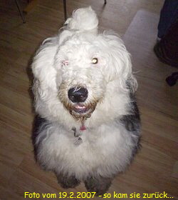 Foto vom 19.2.2007 - so kam sie zurck...