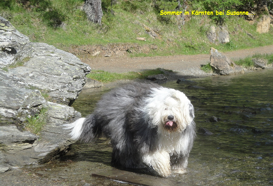 Sommer in Krnten bei Susanne...