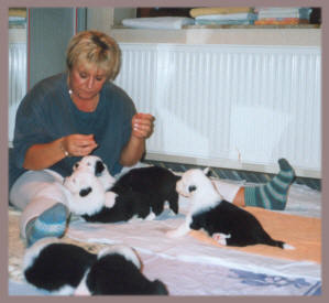 Die erste unvergeliche Fleischmahlzeit