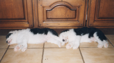 Dorian und Benjamin