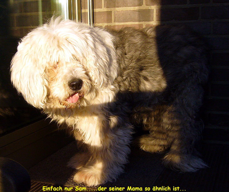 Einfach nur Sam.....der seiner Mama so hnlich ist...