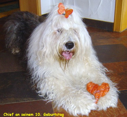 Chief an seinem 10. Geburtstag