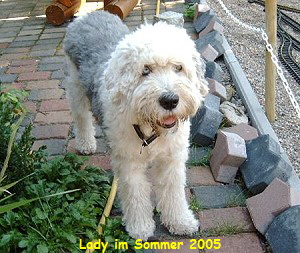 Lady im Sommer 2005