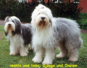 rechts und links: Django und Onslow