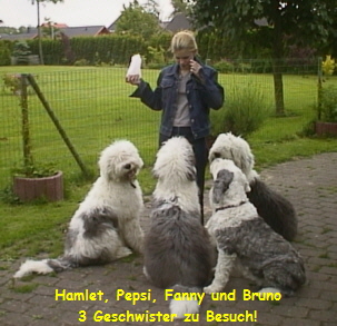 Hamlet, Pepsi, Fanny und Bruno
3 Geschwister zu Besuch!
