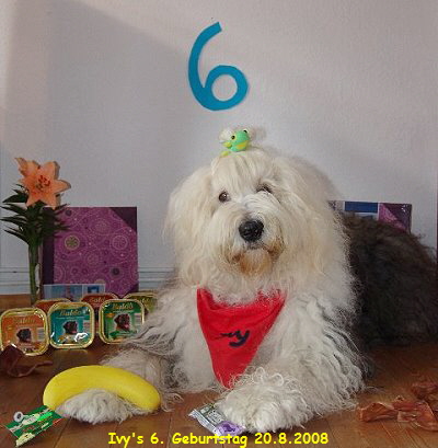 Ivy's 6. Geburtstag 20.8.2008
