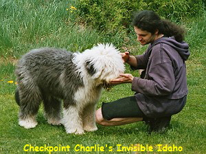 Checkpoint Charlie's Invisible Idaho