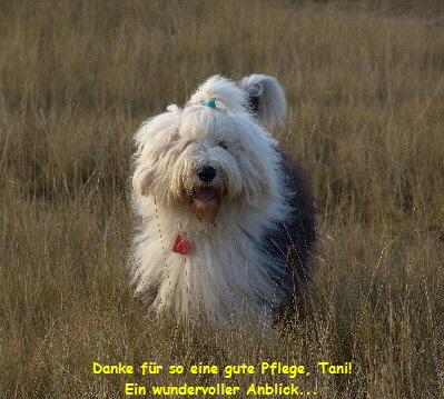 Danke fr so eine gute Pflege, Tani!
Ein wundervoller Anblick...