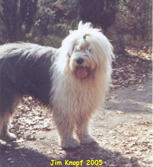 Jim Knopf April 2005