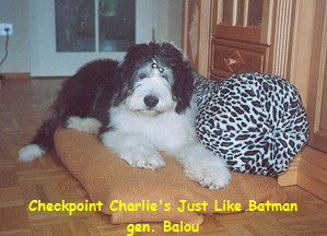 Checkpoint Charlie's Just Like Batman
gen. Balou
