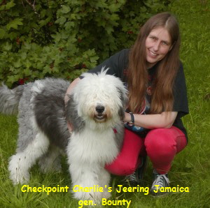 Checkpoint Charlie's Jeering Jamaica
gen. Bounty