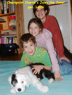 Checkpoint Charlie's Juley the Jewel
gen. Lotta