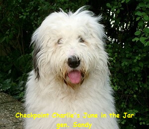 Checkpoint Charlie's June in the Jar
gen. Sandy