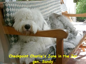 Checkpoint Charlie's June in the Jar
gen. Sandy