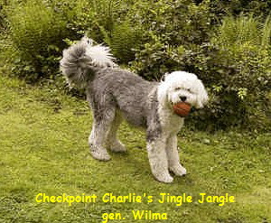 Checkpoint Charlie's Jingle Jangle
gen. Wilma