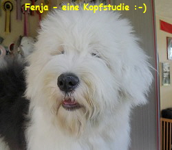 Fenja