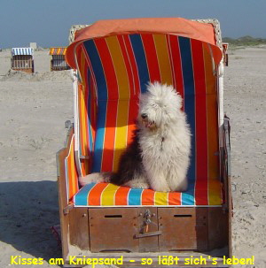 Kisses am Kniepsand - so lt sich's leben!