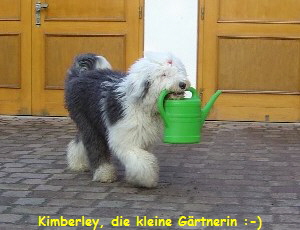 Die kleine Grtnerin :-)