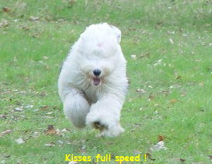 Kisses full speed