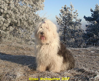 Kisses Weihnachten 2007