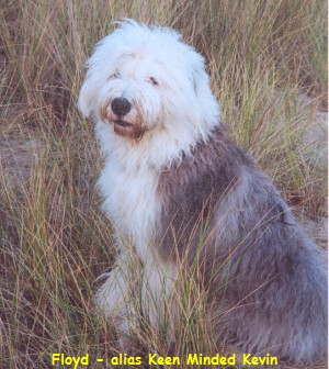 Floyd - alias Keen Minded Kevin