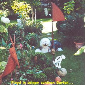 Floyd in seinem schnen Garten...