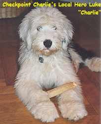 Charlie