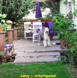 Larry - Arbeitspause!