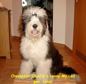 Checkpoint Charlie's Lenny My Lad
gen. Linus