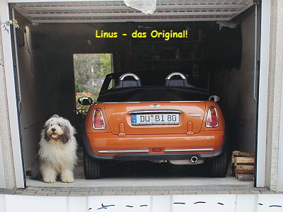 Linus - das Original!