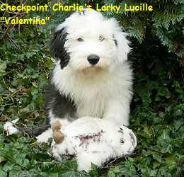 Valentina & ihre Eule!