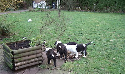 Ausflug in den Garten