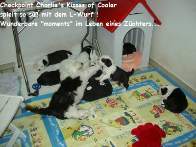 Kisses und der L-Wurf