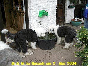 M & M zu Besuch am 2. Mai 2004