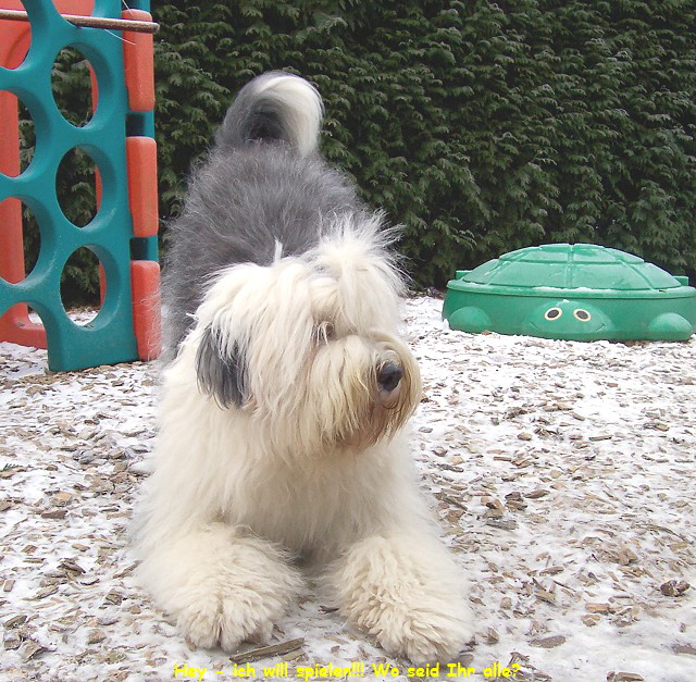 Hey - ich will spielen!!! Wo seid Ihr alle?