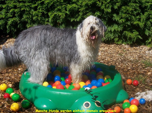 nne bereits 15 Monate alt!