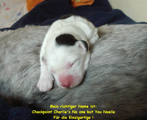 Bin ich nicht süß ? Bin ich nicht süß ?