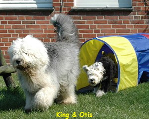 King & Otis