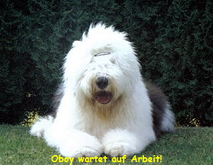 Oboy wartet auf Arbeit!