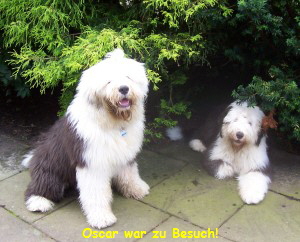 Oscar war zu Besuch!