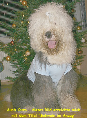 Auch Ouzo...dieses Bild erreichte mich
mit dem Titel 