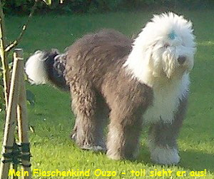 Mein Flaschenkind Ouzo - toll sieht er aus!