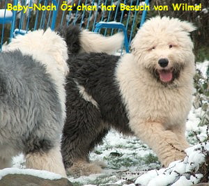 Baby-Noch z'chen hat Besuch von Wilma!