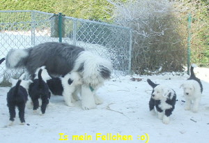 Is mein Fellchen :o)