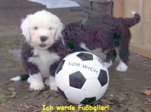 Ich werde Fuballer!