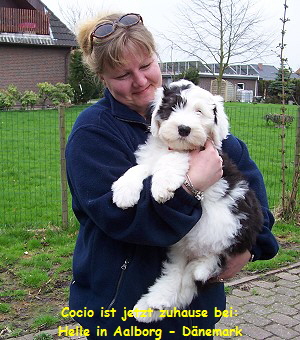 Cocio ist jetzt zuhause bei:
Helle in Aalborg - Dnemark